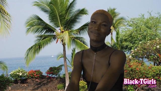 Watch Online Porn – Black-tgirls presents Meet Stunning Traci Handler! – 28.10.2016 (MP4, HD, 1280×720)
