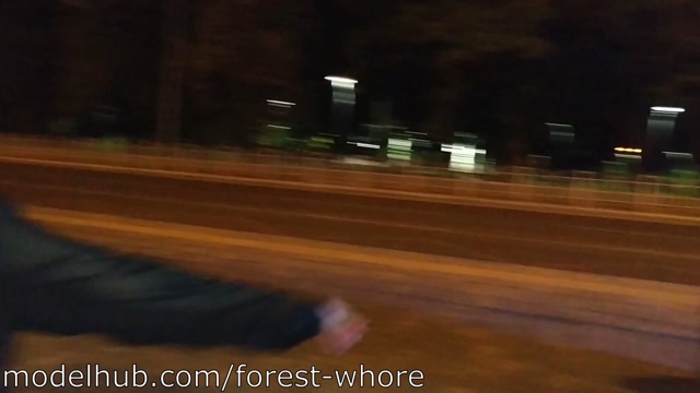 Forest_Whore_-_15___Night_walk_and_sex_with_real_stranger__2019-08_.mp4.00008.jpg