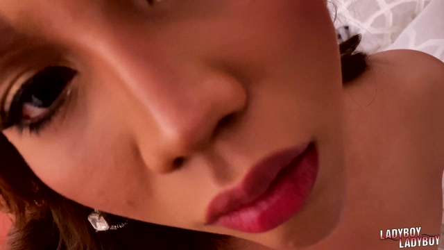 Watch Online Porn – Ladyboy-ladyboy presents Sweet Candy Is Back! – 19.02.2020 (MP4, HD, 1280×720)