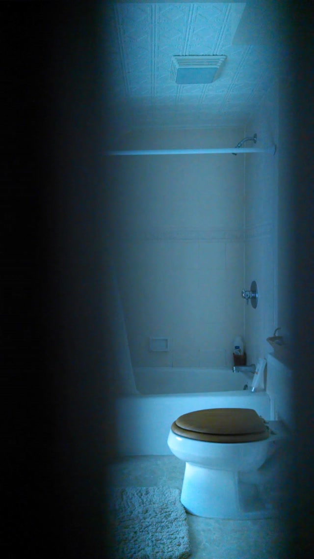 Pissing - toilet indoor 0220 - hz_21320 00015