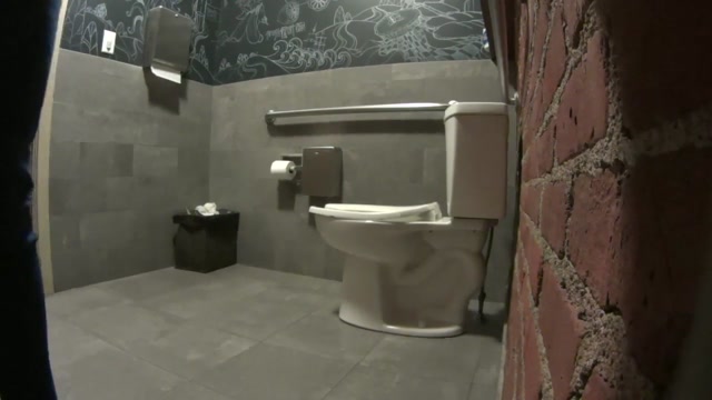 Pissing - toilet indoor 0223 - hz_20822 00013