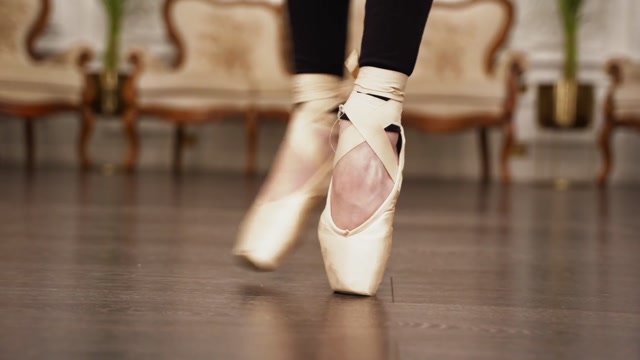 MissEllieMouse - Love of pointe shoes 00011