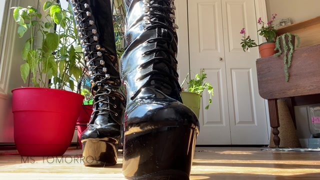 Watch Free Porno Online – DommeTomorrow – Her Boots (MP4, FullHD, 1920×1080)