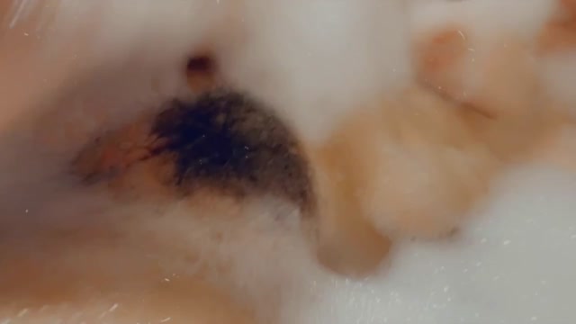 Watch Online Porn – LusciousxLuci – teaser- bubble bath massage (MP4, HD, 1280×720)
