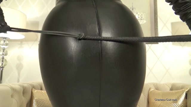 Kinky Leather Clips - Adore My Leather Curves JOI 00014