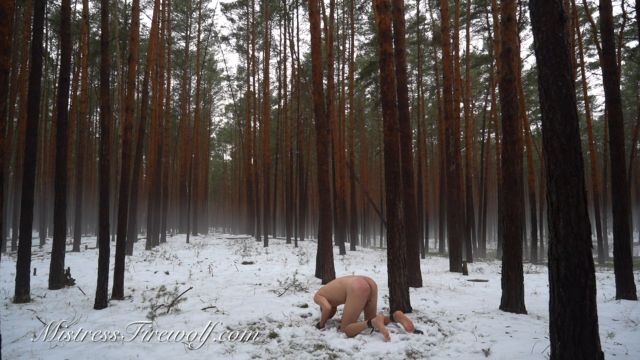 Mistress Firewolf - Punished With 100 Whiplashes In The Snow 00015