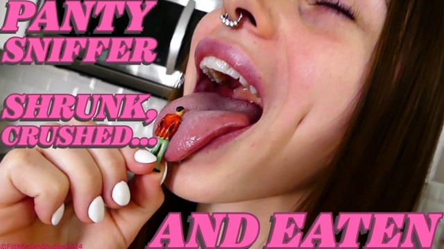 1Panty Sniffer Shrunk Punished And Eaten - Princess Honey $15.99 (Premium user request)