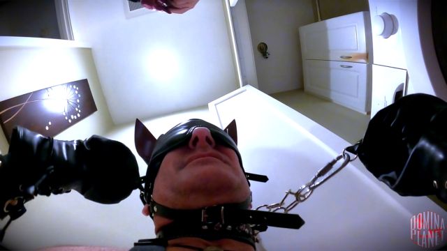 Watch Online Porn – Domina Planet – My Dirty Panty Tree (MP4, FullHD, 1920×1080)