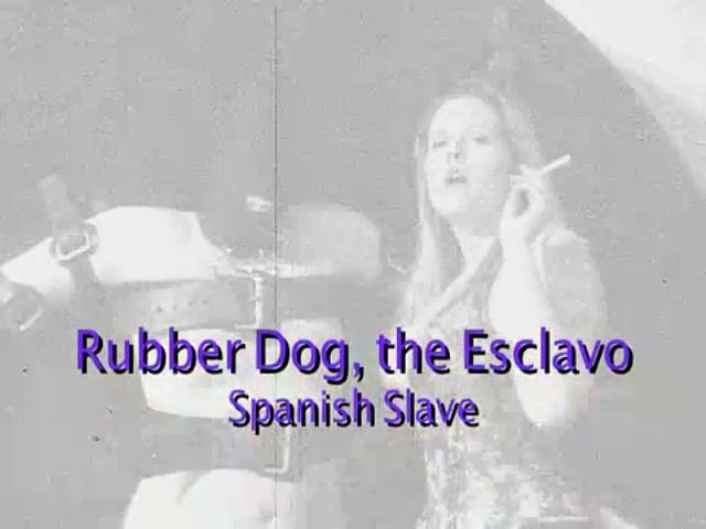 Watch Online Porn – Domina M – Rubber Dog, El Esclavo, Rubber Dog Meet Huge Rubber Dong – DOMINA Ms SLAVE TRAINING (MP4, SD, 640×480)