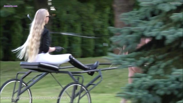 Institute of Discipline - Mistress Katharina - OWK - Running Around The Christmas Tree 00010
