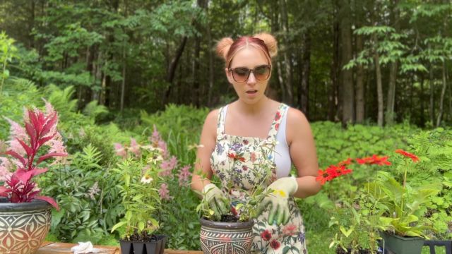 SneezeGoddess - Enduring an Allergy Attack Gardening 00007