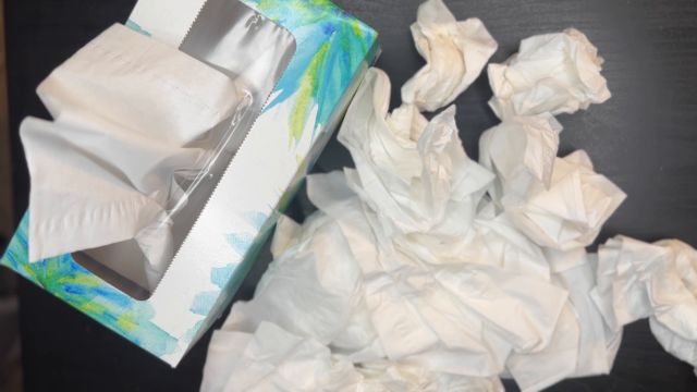 SneezeGoddess - Snot Lovers Sequel 00012