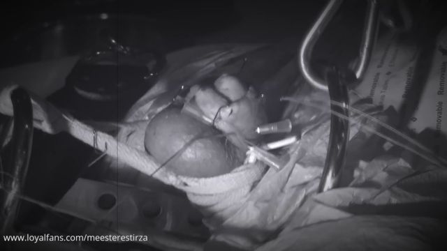 Mistress Tirza - Freestyle Piercing Stretching And More 00009