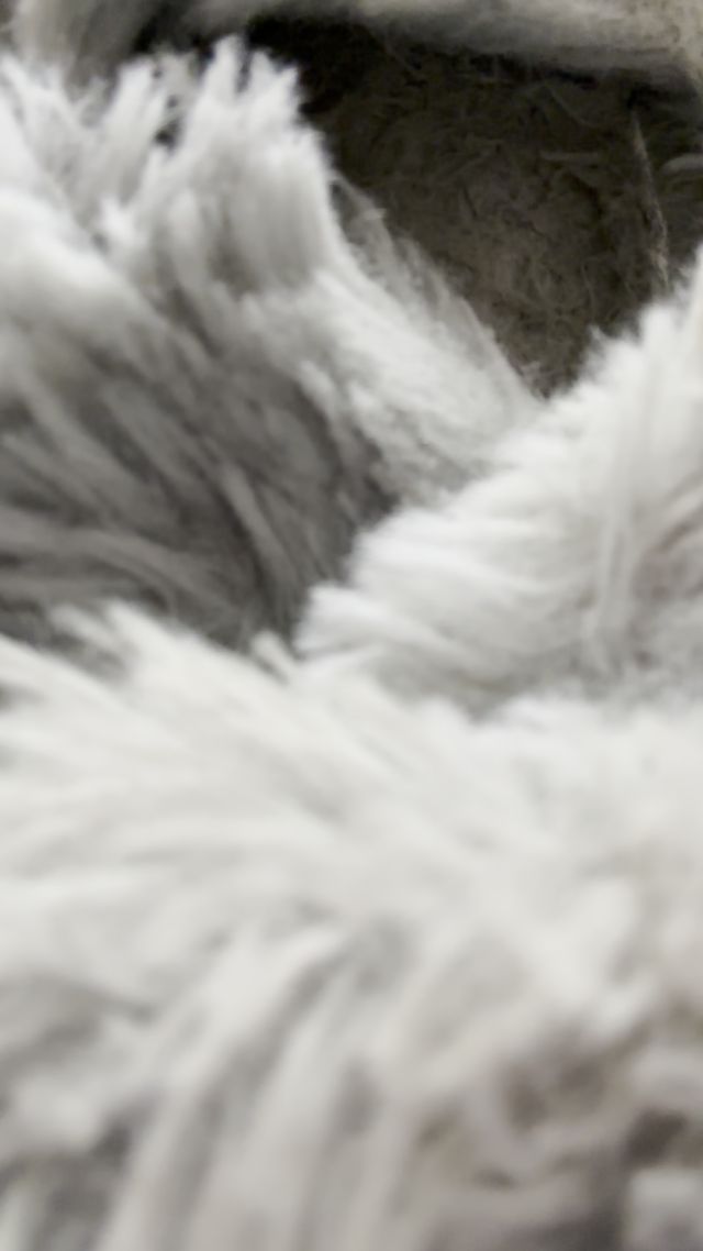 Yourhikerbabe - Sweaty Slipper Worship 00011