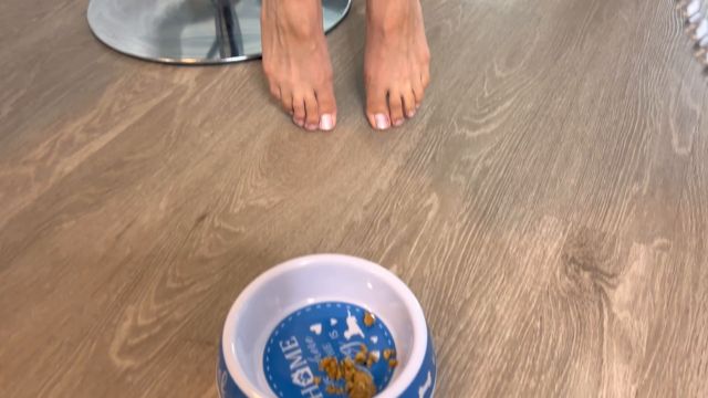 Femdom Puppy Play - Lee Von Lux Babysits Her Friend