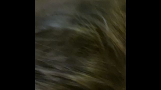 Mshollywood100 - Got in trouble with my pastor at church 00001