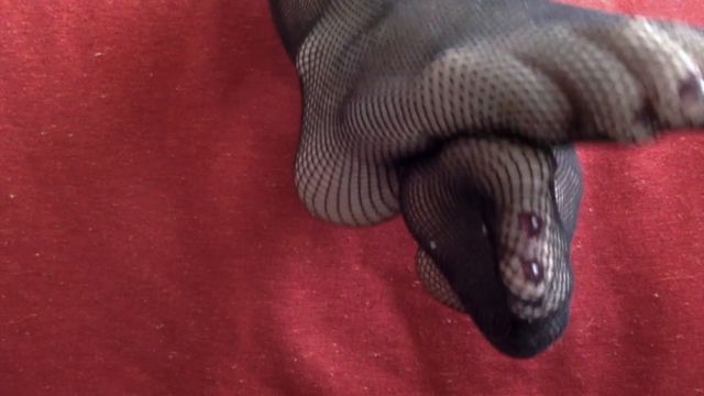 Selina O Hair - Do You Like Having My Feet In Your Face 00012