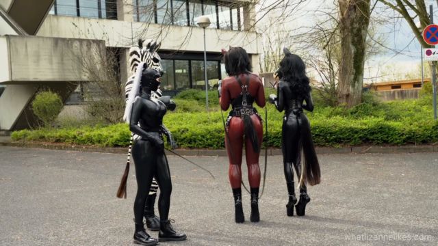 00381 - Pony tales 00003