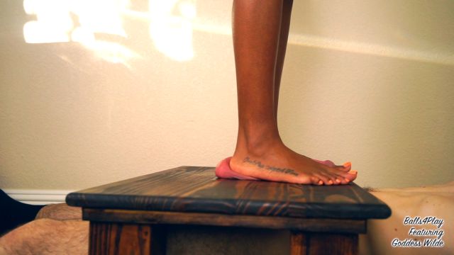 GoddessWilde - Foot Crush Frenzy 00015