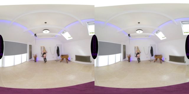 The English Mansion - Mistress Sidonia - My Cruel Single-Tail Whip - VR 00012