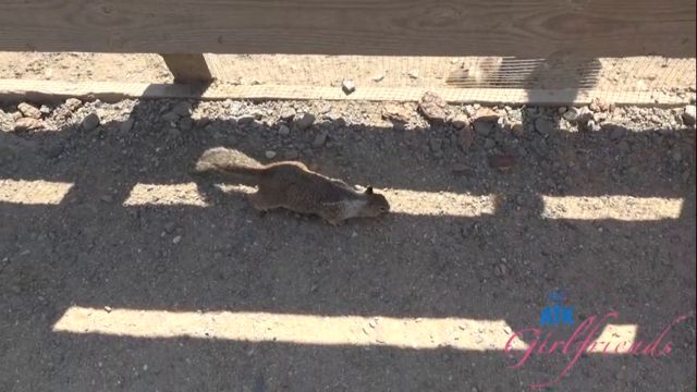 sum030ATK 414941001 sd 00008