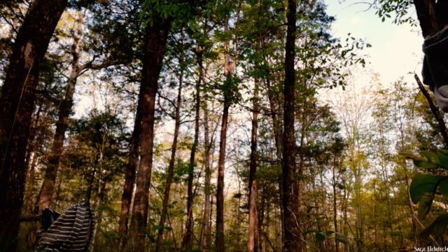 Sage Eldritch - Outdoors Buttcrack Taking Down the Hammock 00011