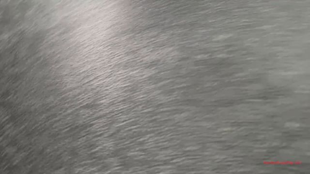 Femdom Puppy Play - Mistress Angel Cages Her Slave 00004