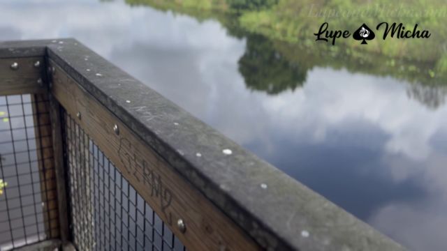 Lupeandmicha - Rest Stop Tower Sex 00006