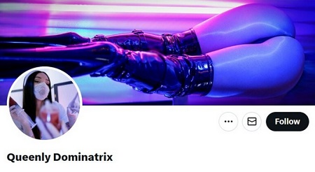 Queenly Dominatrix 140 Clips Pack