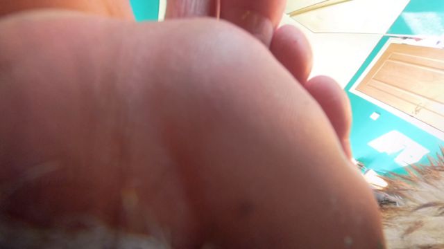 Giantess Lady Soles - A Marriage Ruled From Above 00008