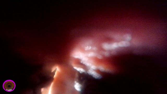 The Cirilla Emporium - Giantess Cirilla Couple Cuck 00010