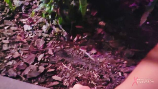 XBrats - Sushii - Halloween Horror 00005