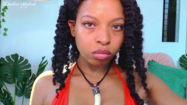 Master Skylark - Don Master Skylark - Don