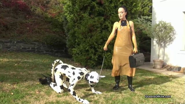 Queens of Kink - Latex cow inspected and fucked stage 1 - Fetish Liza and Natalie Goth TV 00000 Queens of Kink - Latex cow inspected and fucked stage 1 - Fetish Liza and Natalie Goth TV 00000