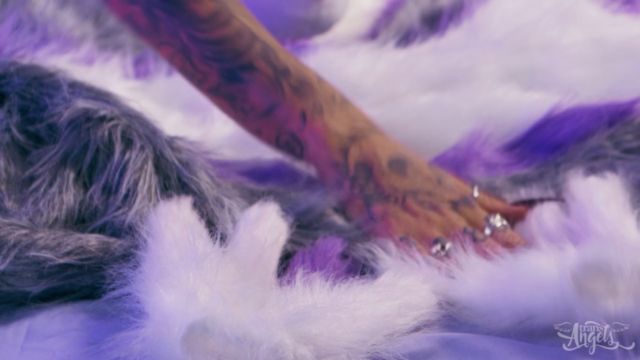 TRA Bobbii Rose Furry Fantasy Shemale 00000