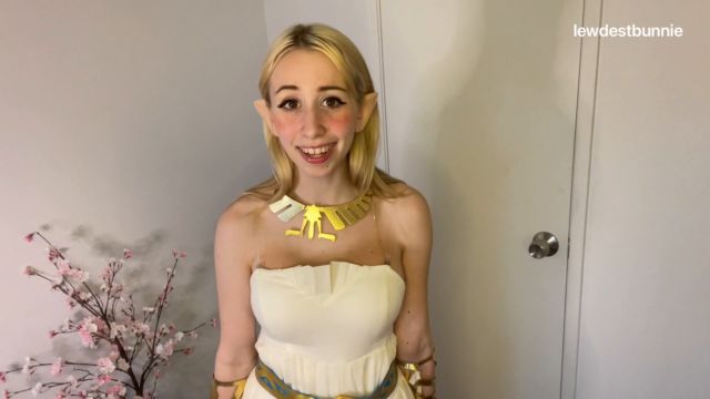 lewdestbunnie - fulfill zelda