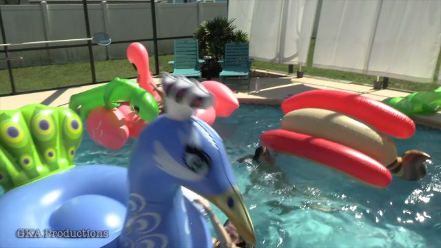 Ginarys Kinky Adventures Indica Jane Josie Jo Ginary Pool Inflatables Slick Body Slide And Wet Grind (Premium User Request) 00000 Ginarys Kinky Adventures Indica Jane Josie Jo Ginary Pool Inflatables Slick Body Slide And Wet Grind (Premium User Request) 00000