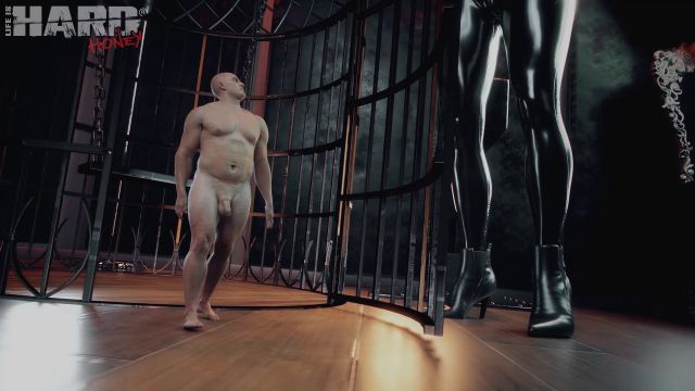 Hard Honey - - Dianasuniverse - Mistress Diana - Just Another Tinnny Slave 00000