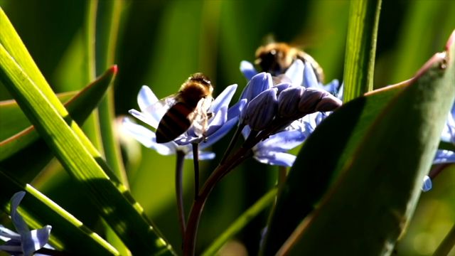 JoyRide - Protocol 001 - Submission 00000 JoyRide - Protocol 001 - Submission 00000