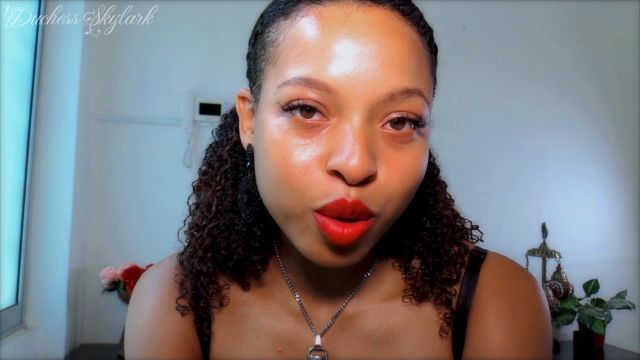 Master Skylark - The Face That Robbed 1000 Simps 00000