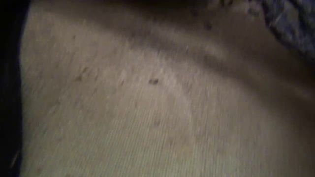 Sweet Southern Feet SSF - Skyler and Holiday Dirty Foot Slave 00000