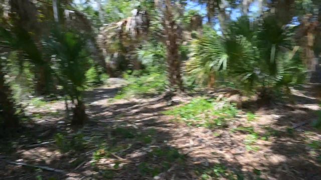 Miss Ellie - Bts Nature Walk And Masturbation On Trail 00000