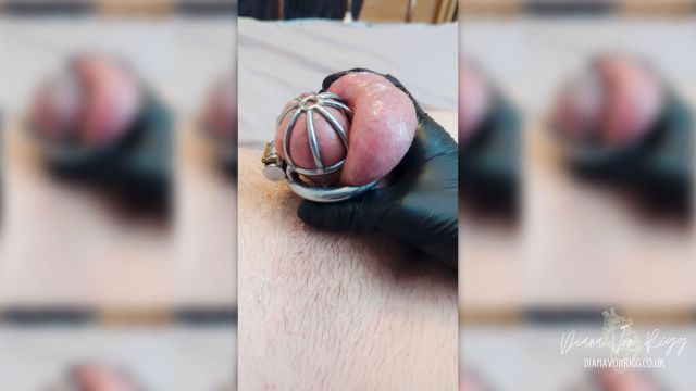 Diana Von Rigg - The Ultimate Chastity Collection - 40 Min Of Best Selling Prostate Milking And Denial 00000 Diana Von Rigg - The Ultimate Chastity Collection - 40 Min Of Best Selling Prostate Milking And Denial 00000