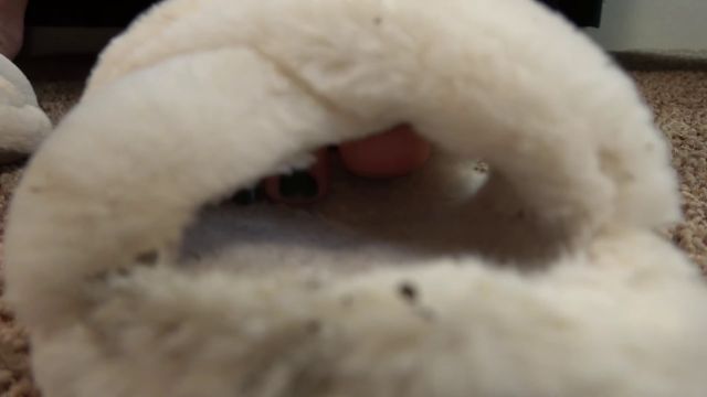 Sweet Southern Feet Ssf - Candice Has a Slipper Slave 00000 Sweet Southern Feet Ssf - Candice Has a Slipper Slave 00000