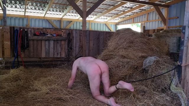 Bdsm And Fetishclips By Nica Nordic - Stable Slaughter In Op Gown Soft Version 00000 Bdsm And Fetishclips By Nica Nordic - Stable Slaughter In Op Gown Soft Version 00000
