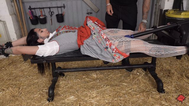 Fetishgarage – Lena Being Tickled On The Stretching Bench In The Garage 00000 Fetishgarage – Lena Being Tickled On The Stretching Bench In The Garage 00000