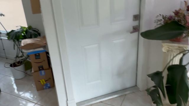 Zoeneli - Pov i Fucked My Doordash Driver 00000
