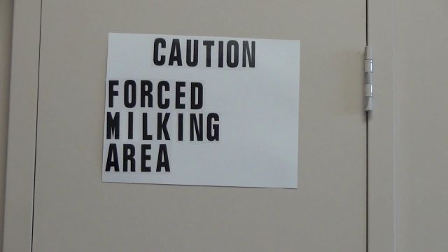 Bossy Girls - Daisy s Ruined Cum Fountain 00000