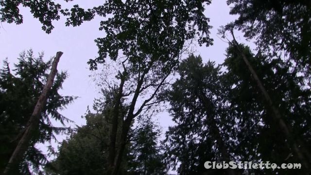 Club Stiletto - Cum On My Boots While i Sit On Your Face - Goddess Violet Jaskson 00000 Club Stiletto - Cum On My Boots While i Sit On Your Face - Goddess Violet Jaskson 00000