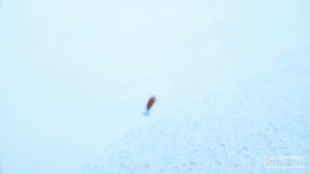 Sashacurves The Giantess At The End Of The Earth (Premium User Request) 00000